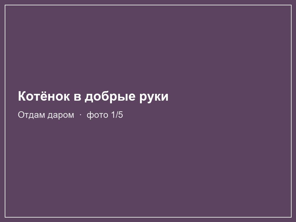 Котёнок в добрые руки