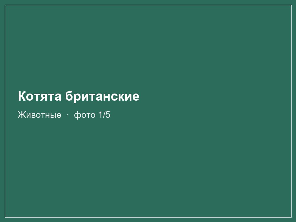Котята британские