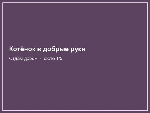 Котёнок в добрые руки