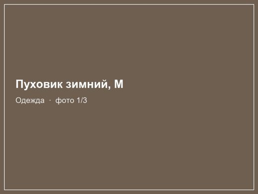 Пуховик зимний, M